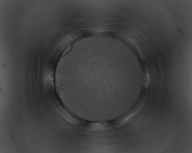 X0000090490238200708031153