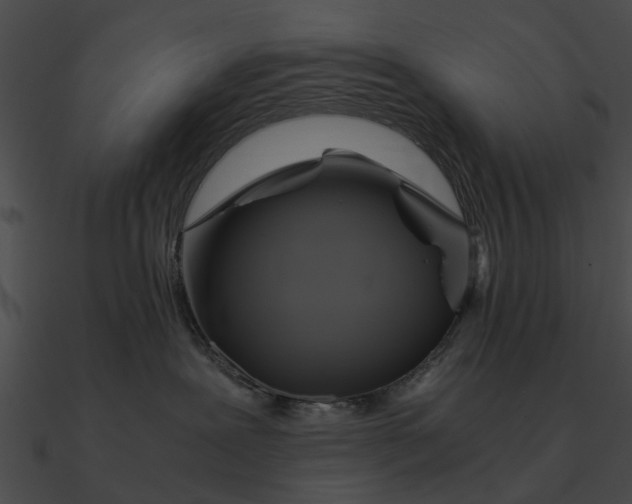 X0000090490239200708031153