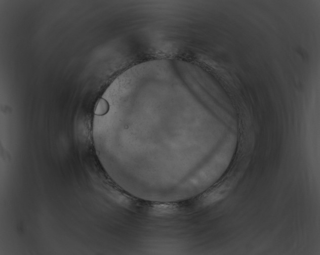 X0000090490240200708031153