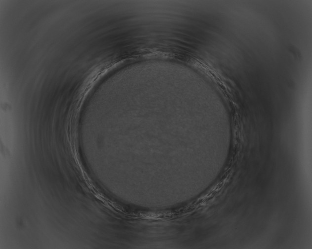 X0000090490241200708031152