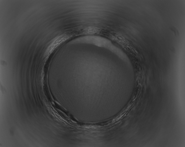 X0000090490242200708031152