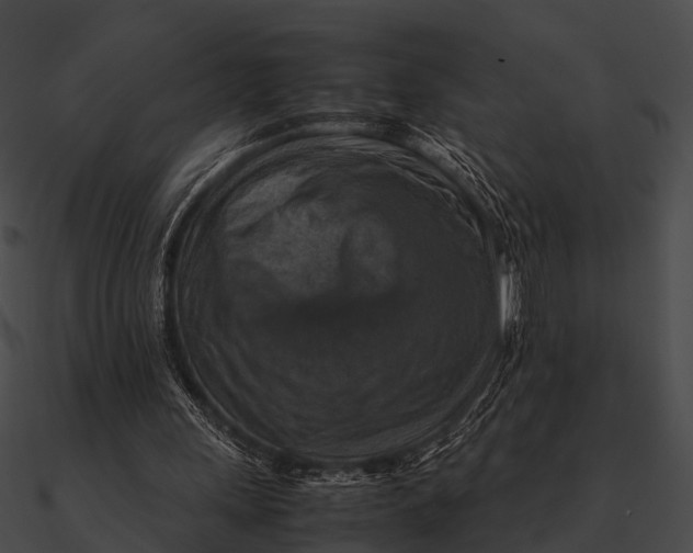 X0000090490243200708031152