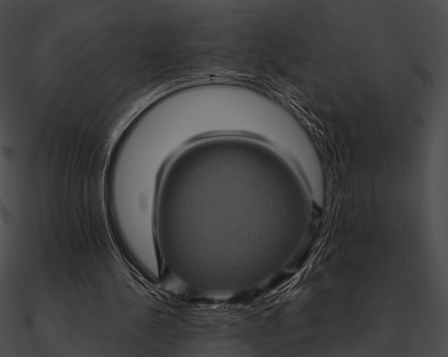 X0000090490244200708031152