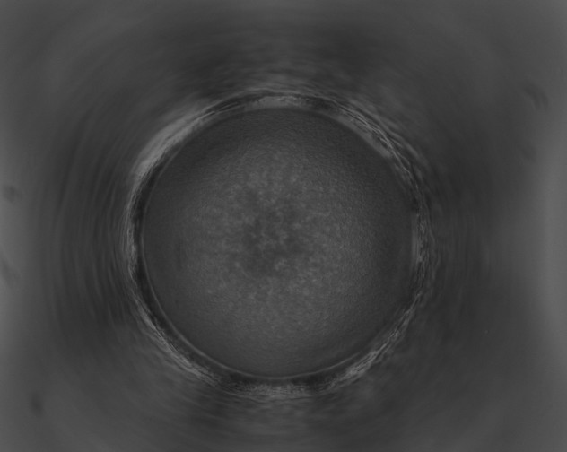 X0000090490245200708031152