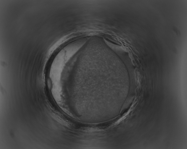 X0000090490246200708031152