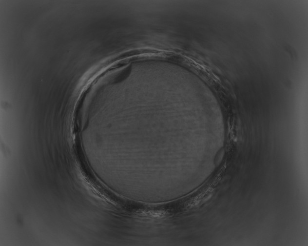 X0000090490247200708031152