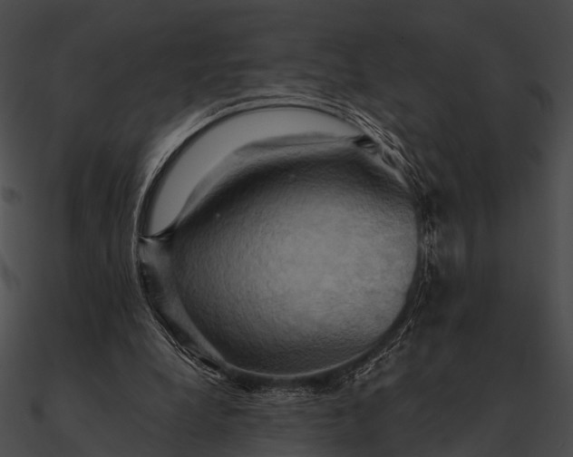 X0000090490248200708031152