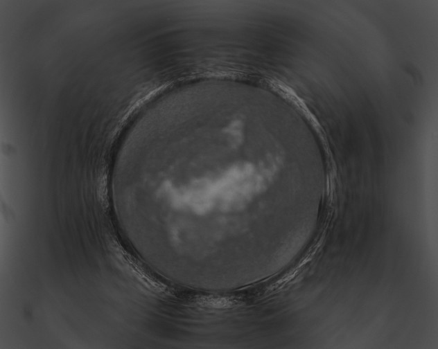 X0000090490249200708031152