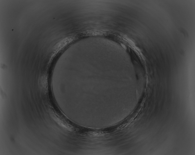 X0000090490250200708031152