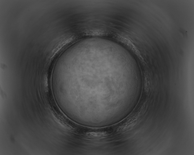 X0000090490251200708031152