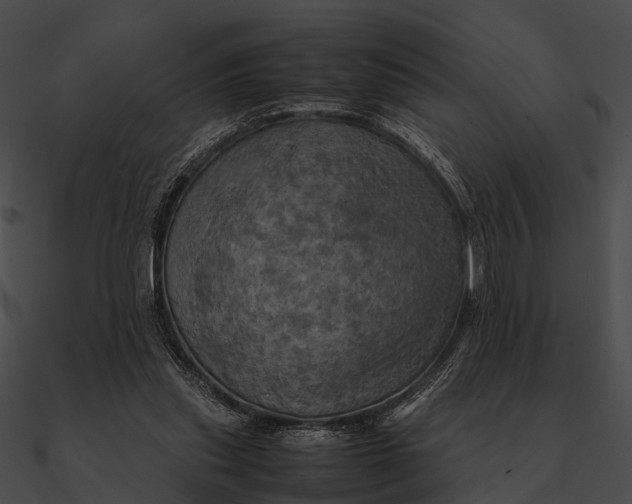 X0000090490253200708031152