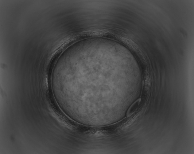 X0000090490254200708031152