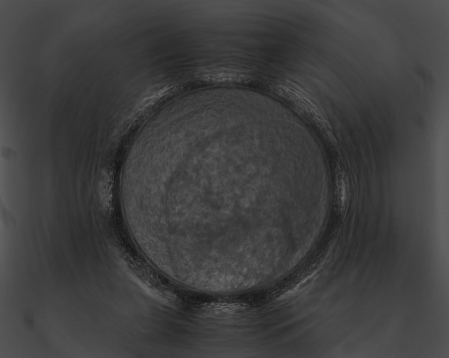 X0000090490255200708031153