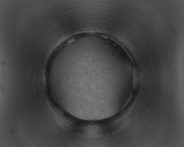 X0000090490256200708031153