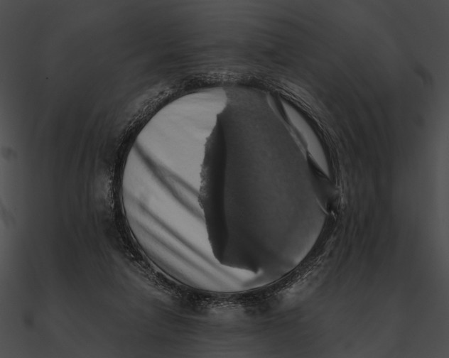 X0000090490258200708031153