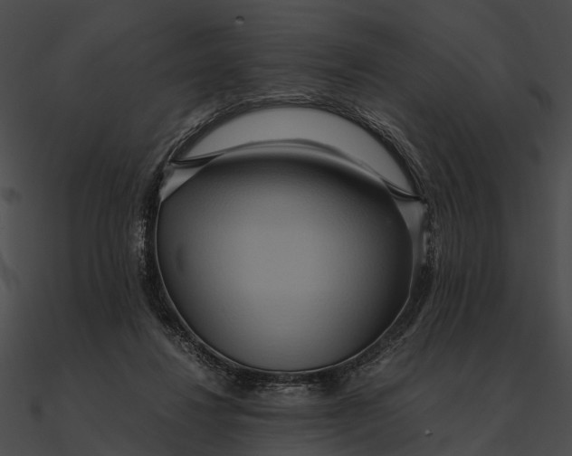 X0000090490260200708031153