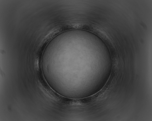 X0000090490262200708031153