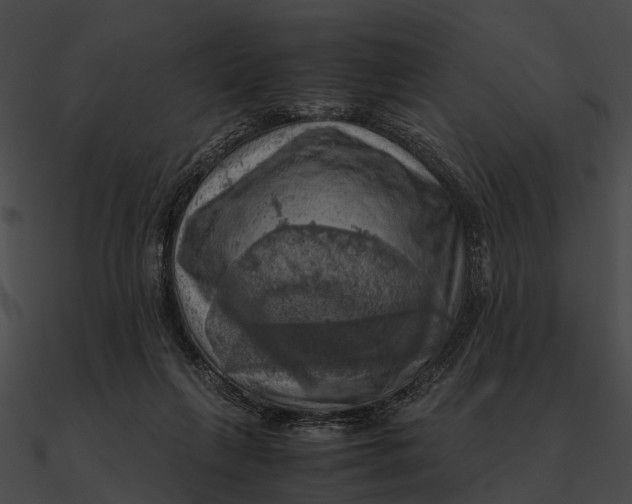 X0000090490263200708031153