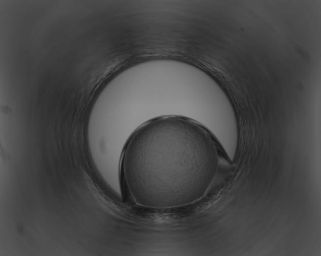 X0000090490264200708031153