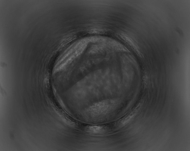 X0000090490265200708031153