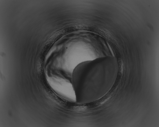 X0000090490266200708031153