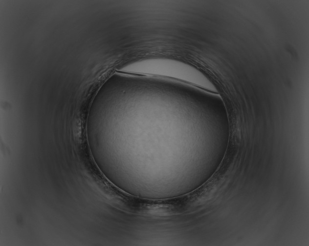 X0000090490268200708031153