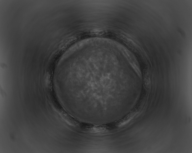 X0000090490270200708031153