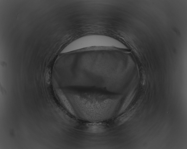 X0000090490273200708031153