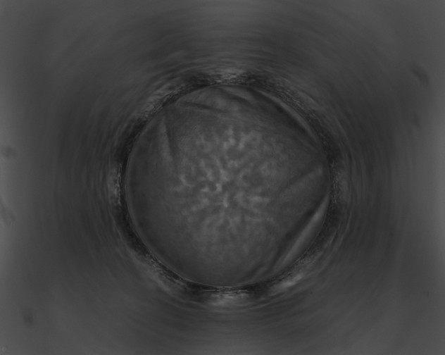 X0000090490274200708031153