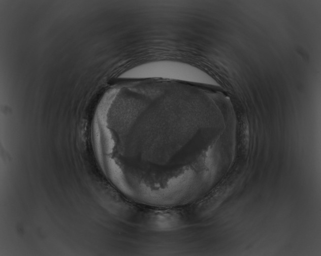 X0000090490275200708031153