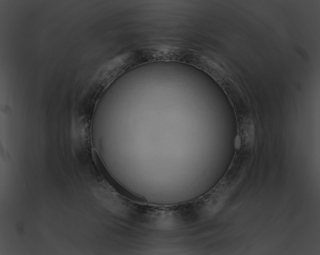 X0000090490276200708031153