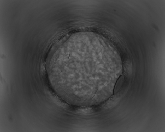 X0000090490278200708031153