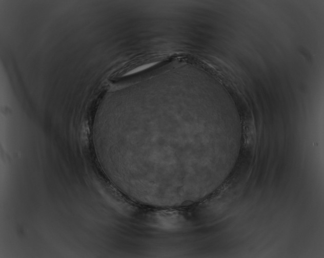 X0000090490279200708031153