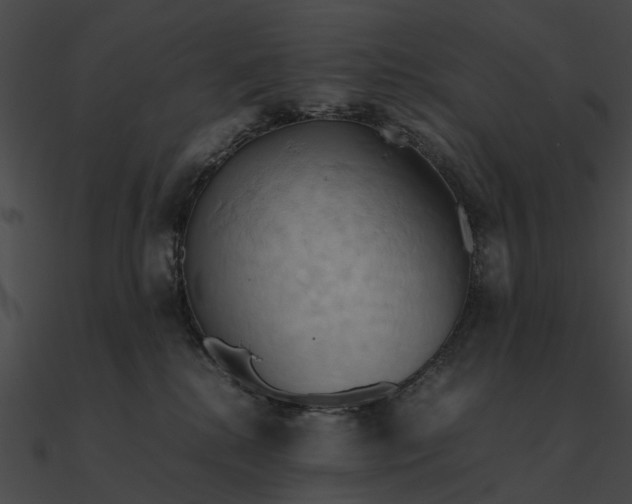 X0000090490280200708031153