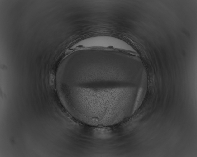 X0000090490281200708031153