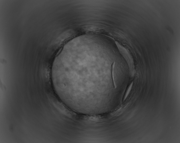 X0000090490282200708031153