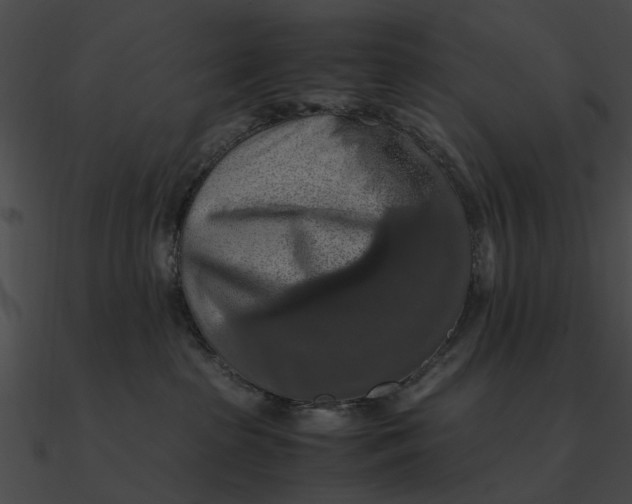 X0000090490285200708031153