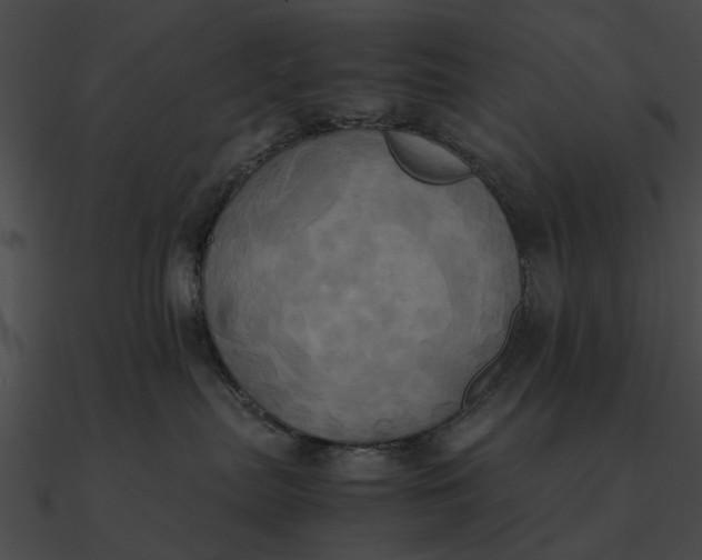 X0000090490287200708031153