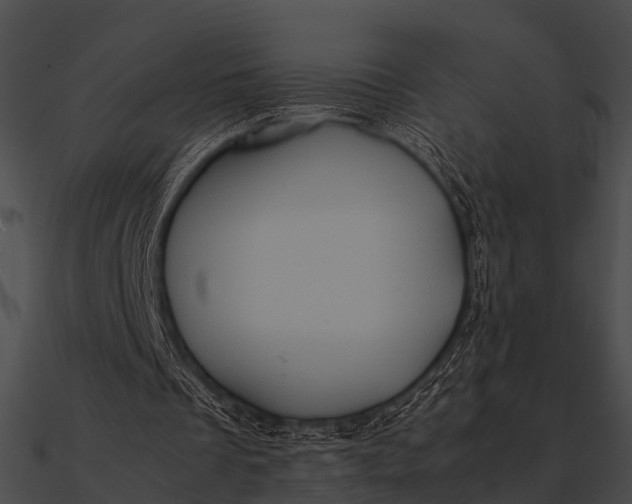 X0000090490289200708031152