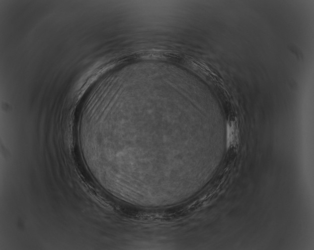 X0000090490291200708031152