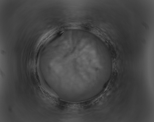 X0000090490293200708031152