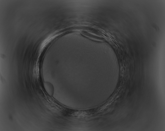 X0000090490294200708031152