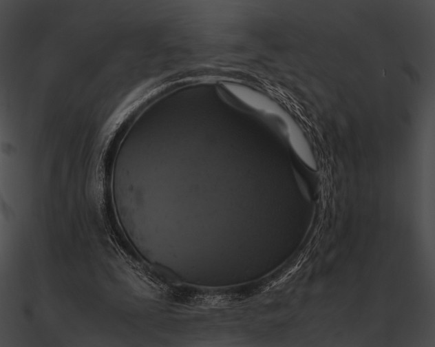 X0000090490295200708031152