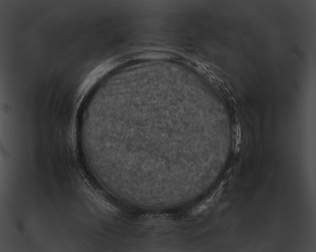 X0000090490296200708031152