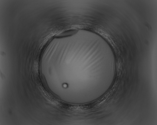 X0000090490297200708031152