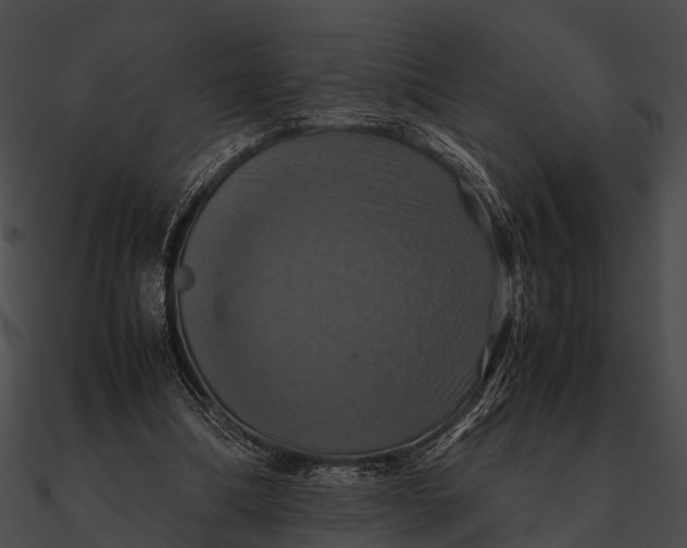 X0000090490298200708031152