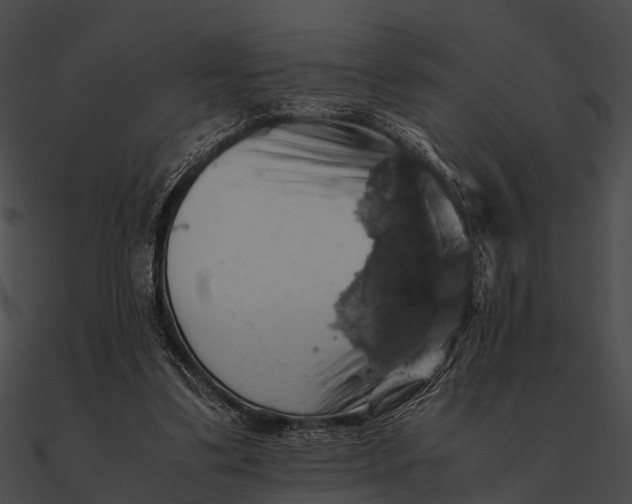 X0000090490299200708031152