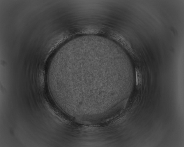 X0000090490300200708031152