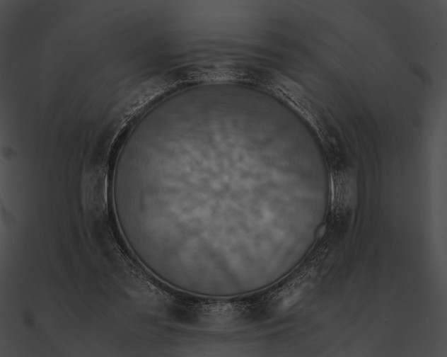 X0000090490301200708031152