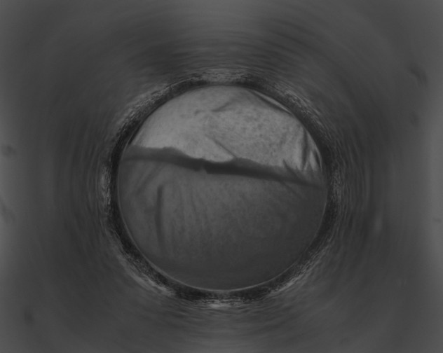 X0000090490303200708031152